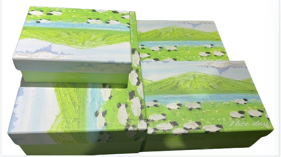 Ωραίο σχέδιο Flip Top Gift Box Custom Σκληρό χαρτόνι κομψό σχέδιο